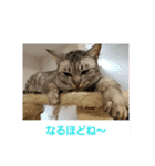 太仁田ブ厚の可愛い仲間たち～その1～（個別スタンプ：11）