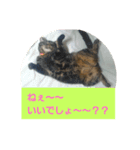 太仁田ブ厚の可愛い仲間たち～その1～（個別スタンプ：12）