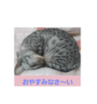 太仁田ブ厚の可愛い仲間たち～その1～（個別スタンプ：16）