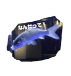 生物オリジナルスタンプ（個別スタンプ：7）