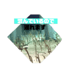 生物オリジナルスタンプ（個別スタンプ：12）