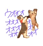 ばるにゃんの会 日常会話用①（個別スタンプ：5）