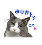 ちっちゃいの達といっしょ♪（個別スタンプ：1）