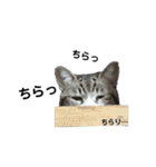 ちっちゃいの達といっしょ♪（個別スタンプ：2）