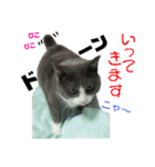 ちっちゃいの達といっしょ♪（個別スタンプ：3）