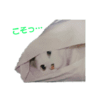 ちっちゃいの達といっしょ♪（個別スタンプ：4）
