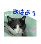ちっちゃいの達といっしょ♪（個別スタンプ：6）