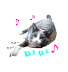 ちっちゃいの達といっしょ♪（個別スタンプ：8）