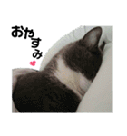 ちっちゃいの達といっしょ♪（個別スタンプ：12）
