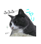 ちっちゃいの達といっしょ♪（個別スタンプ：15）