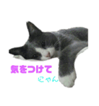 ちっちゃいの達といっしょ♪（個別スタンプ：19）