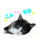 ちっちゃいの達といっしょ♪（個別スタンプ：23）
