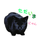 ちっちゃいの達といっしょ♪（個別スタンプ：26）