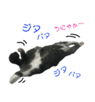 ちっちゃいの達といっしょ♪（個別スタンプ：30）