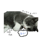 ちっちゃいの達といっしょ♪（個別スタンプ：39）