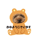 池田ぱんちスタンプ（個別スタンプ：1）