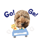 池田ぱんちスタンプ（個別スタンプ：4）