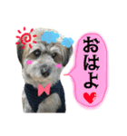 ロロのキモチ（個別スタンプ：1）