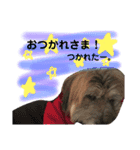 ロロのキモチ（個別スタンプ：5）