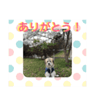 ロロのキモチ（個別スタンプ：7）