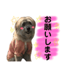 ロロのキモチ（個別スタンプ：10）