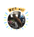 ロロのキモチ（個別スタンプ：13）