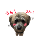 ロロのキモチ（個別スタンプ：16）