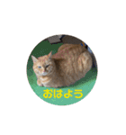 専務3（個別スタンプ：2）