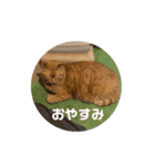 専務3（個別スタンプ：3）