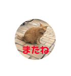 専務3（個別スタンプ：4）