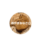 専務3（個別スタンプ：5）