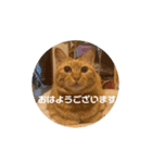 専務3（個別スタンプ：7）