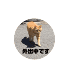専務3（個別スタンプ：9）