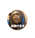 専務3（個別スタンプ：10）