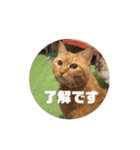 専務3（個別スタンプ：13）
