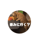 専務3（個別スタンプ：16）