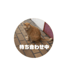 専務3（個別スタンプ：18）