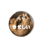 専務3（個別スタンプ：23）
