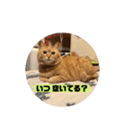 専務3（個別スタンプ：24）