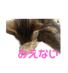 ななちゃんほのぼのスタンプ3（個別スタンプ：11）