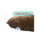 にゃん太①（個別スタンプ：13）