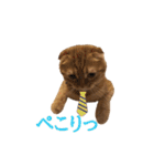にゃん太①（個別スタンプ：14）