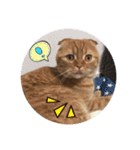 にゃん太①（個別スタンプ：32）