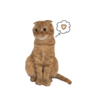 にゃん太①（個別スタンプ：35）