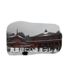 Uema13（個別スタンプ：5）