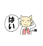 ねこさんと仲間のダジャレスタンプ（個別スタンプ：33）