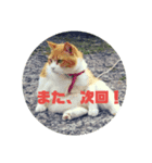 大村家スタンプ（個別スタンプ：5）
