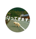 大村家スタンプ（個別スタンプ：7）
