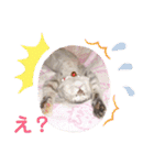 ねこスタンプ 日常会話（個別スタンプ：8）