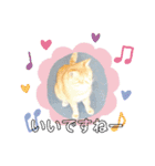 ねこスタンプ 日常会話（個別スタンプ：10）